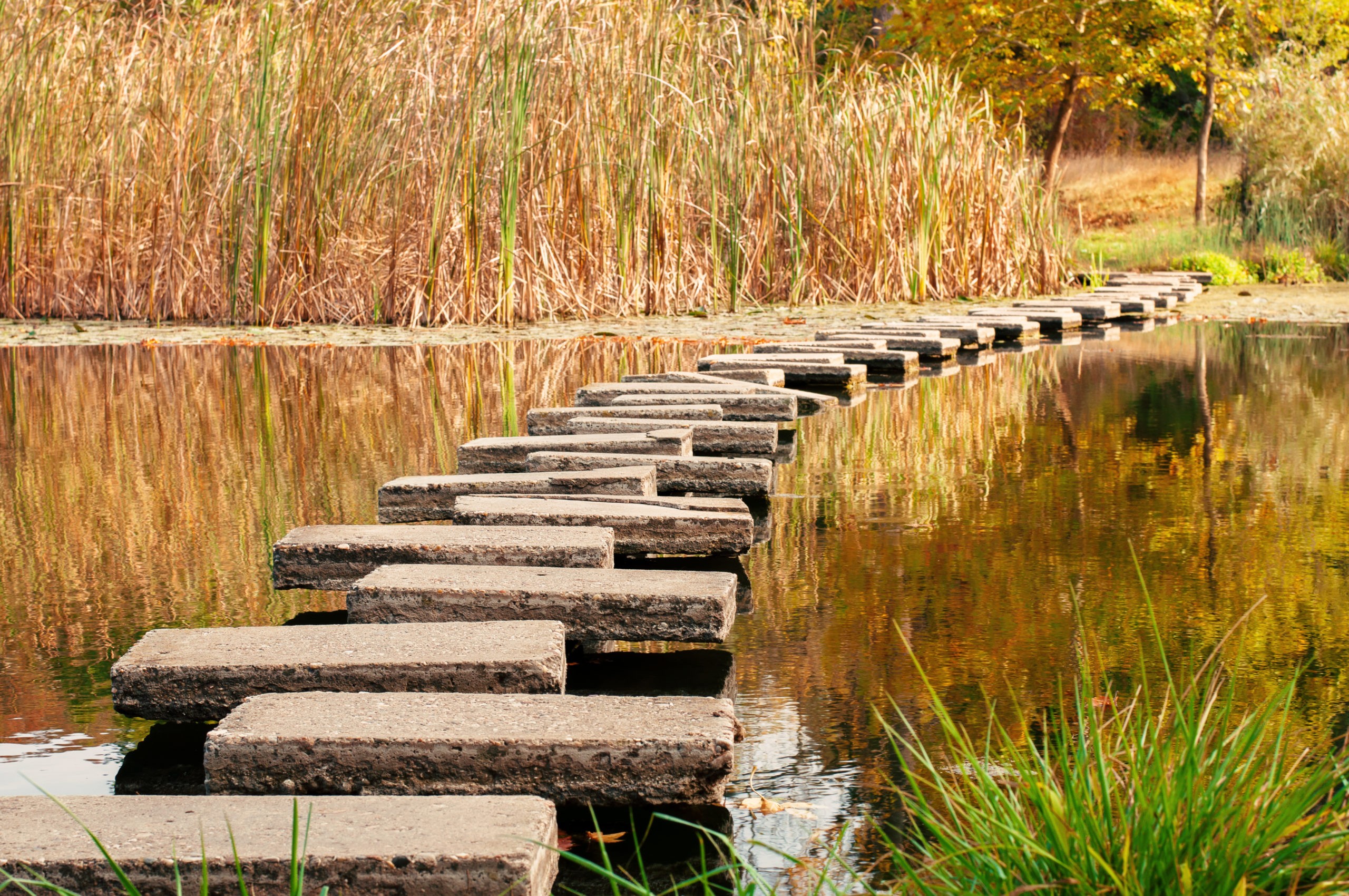 path-in-lake-HYE8MQR